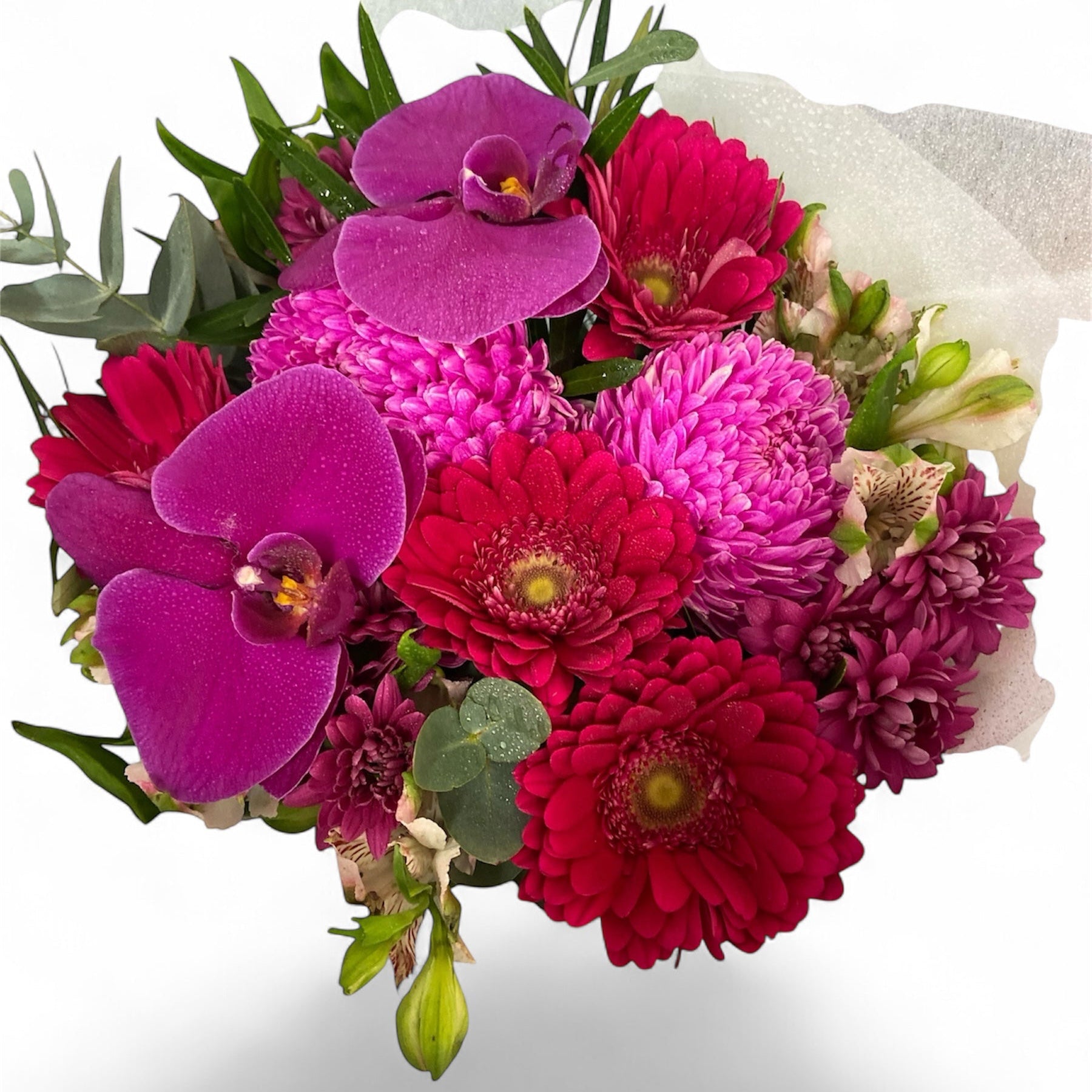 Our Isabella Bouquet is what sets our florist apart in floral design.It's perfect for every occasion. We use seasonal blooms that are in abundance from our local Tasmanian flower growers and flower markets each day. It is one of our most popular choices.

Perfect for goodbye, graduation, just because, Happy Birthday, I Love You, House Warming, new baby, or any occasion.

Now all you have to do is choose your size of bouquet and we will do the rest.