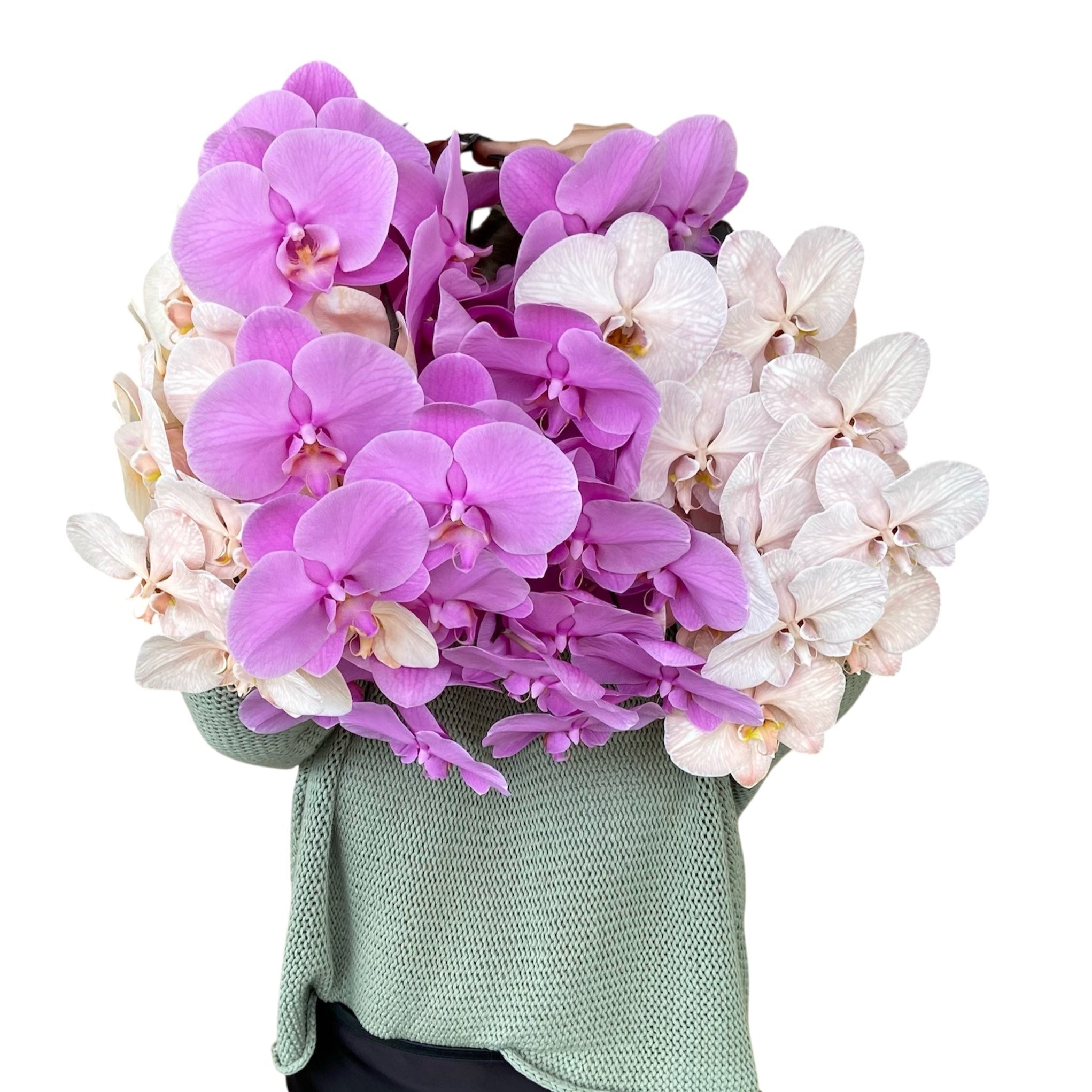 Orchid stems in mass is what we love.  We usually have a few in the store, however if you are wanting more give us a few days notice for delivery.

Just send us an email or call us for us for to supply you with a quote.