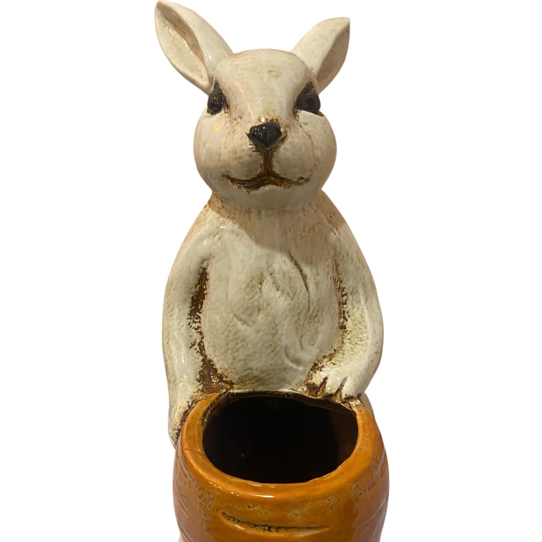 Peter the Rabbit Ceramic Pot